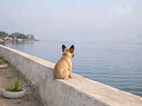 �ӂƂ�̐ē�_202605_04