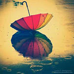 �ӂƂ�̐ē�_202606_03